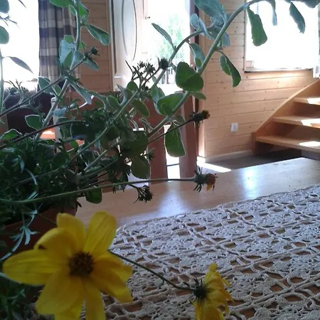 Semesterbostad Gosciniec *