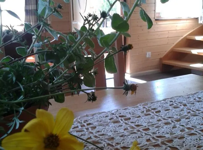 Сasa de vacaciones Gosciniec *