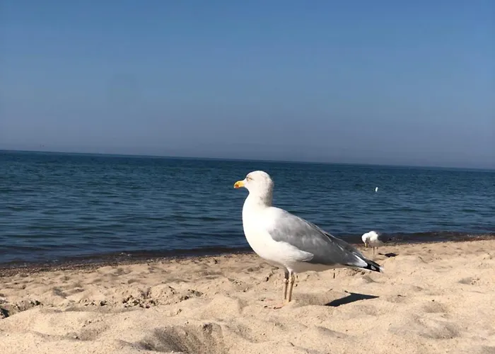 Gosciniec Сasa de vacaciones Bobolin
